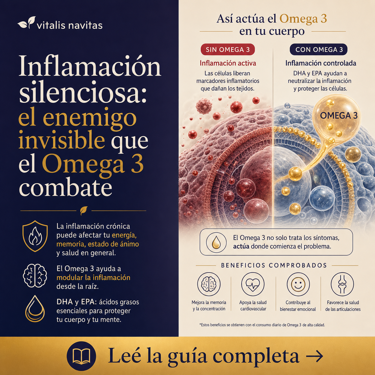 Vitalis Navitas Facebook ad: Inflamación silenciosa: el enemigo invisible