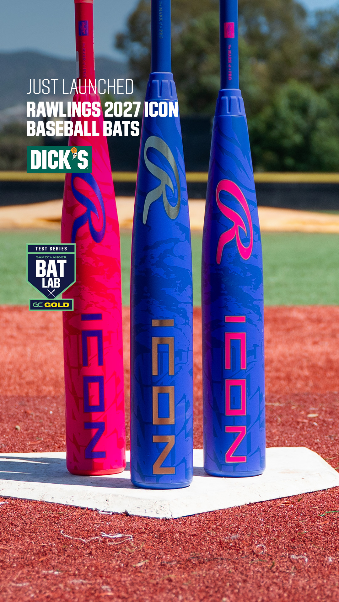 DICK'S Sporting Goods Facebook ad: Rawlings 2027 Icon Bats