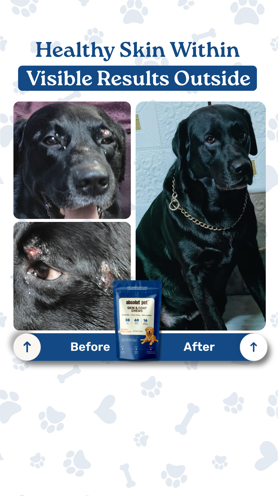 Absolut Pet India Facebook ad