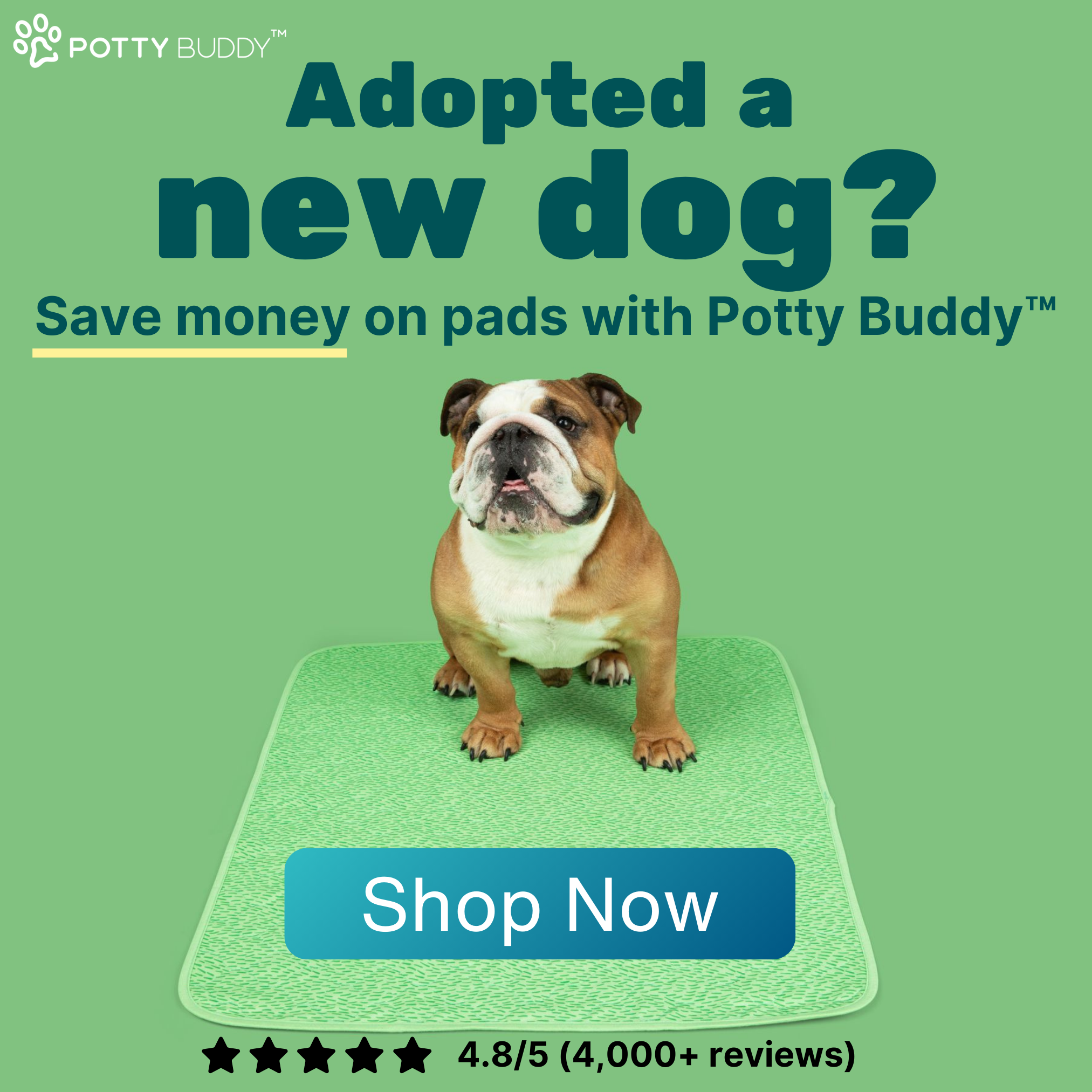 Potty Buddy Facebook ad