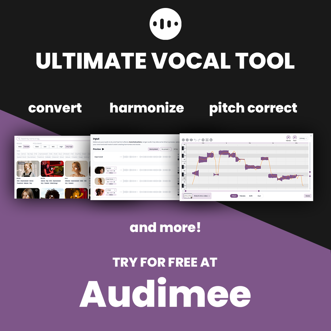 Audimee Facebook ad
