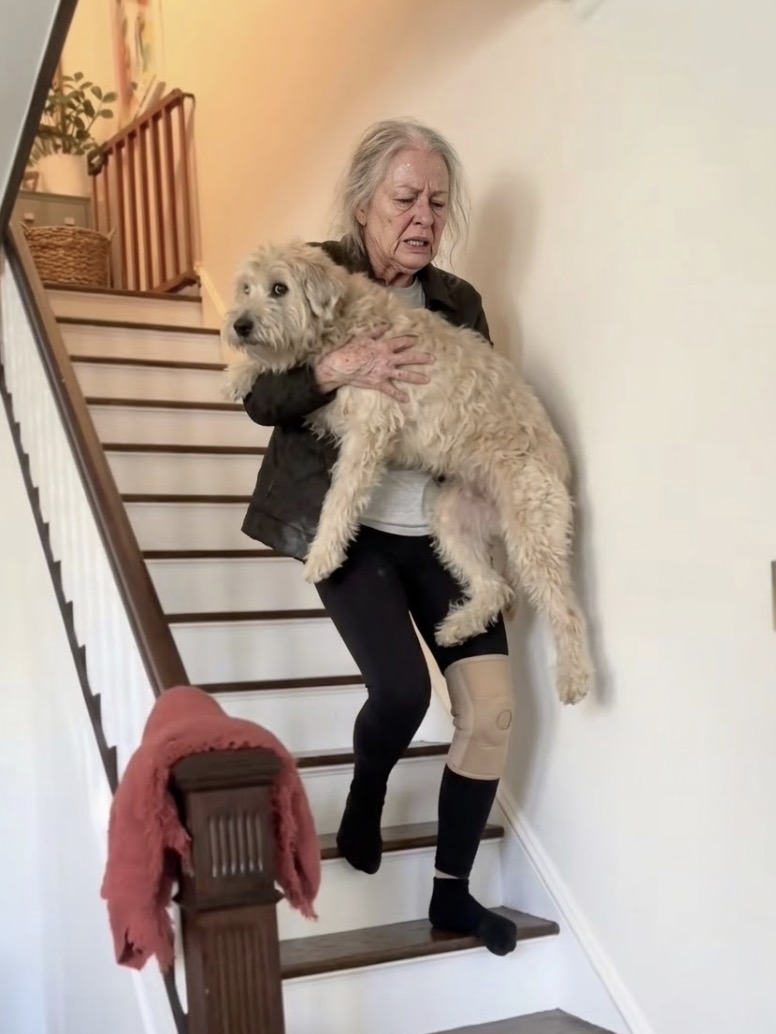 Sarah Hobson Facebook ad: Read if you're watching your dog limp and feeling helpless