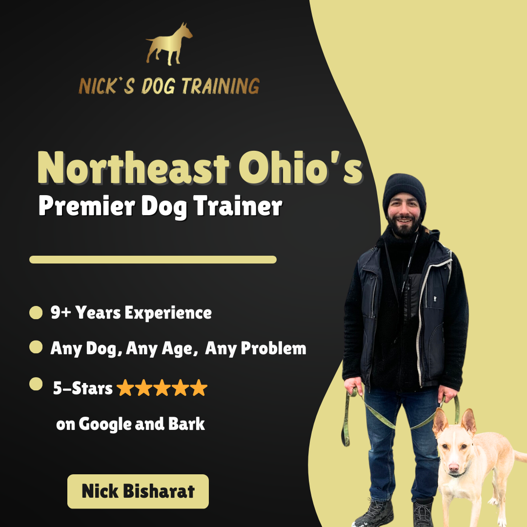 Nick's Dog Training Facebook ad: Northeast Ohio's Most Trusted Trainer For 9+ Years