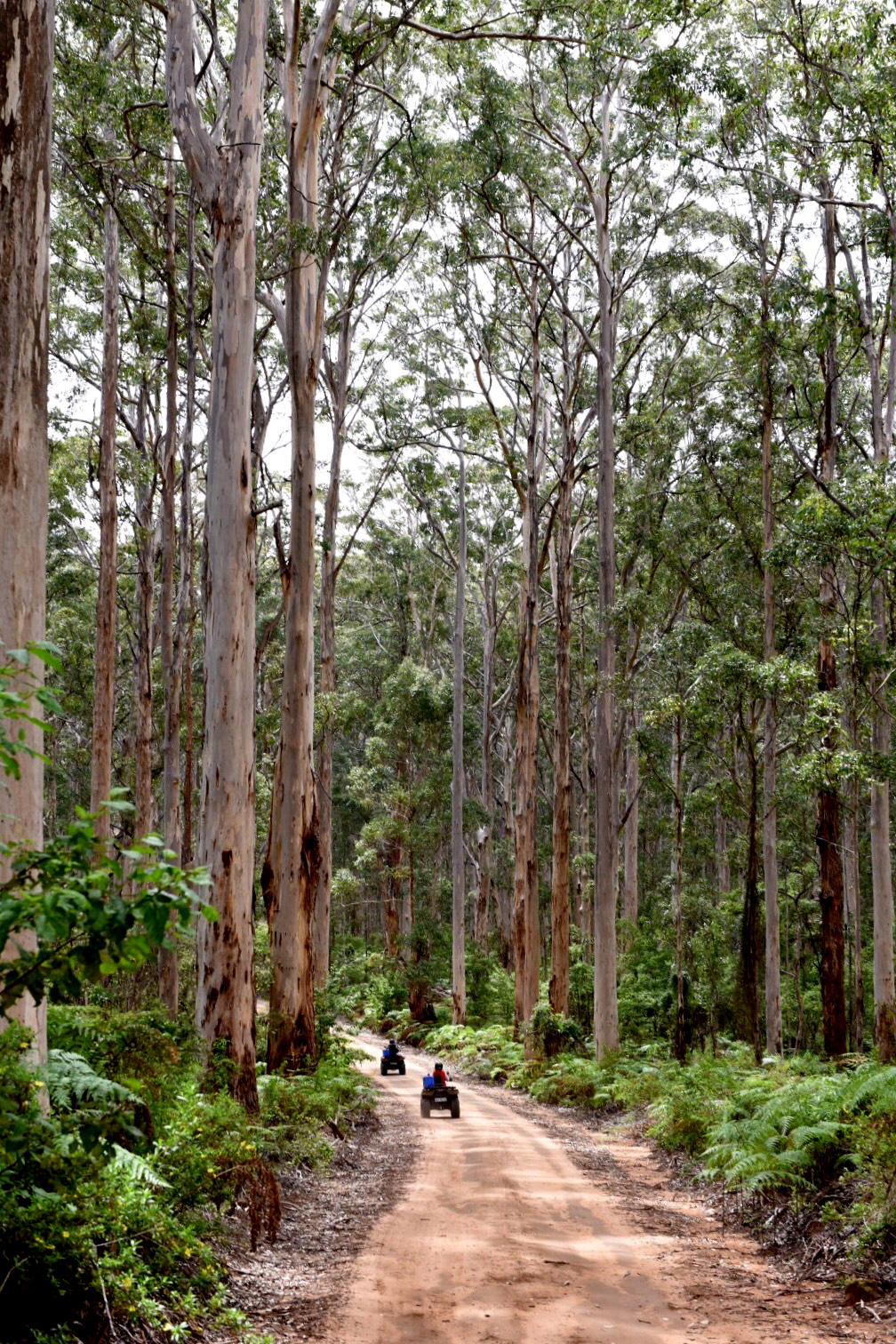 Ecoadventures Margaret River Facebook ad