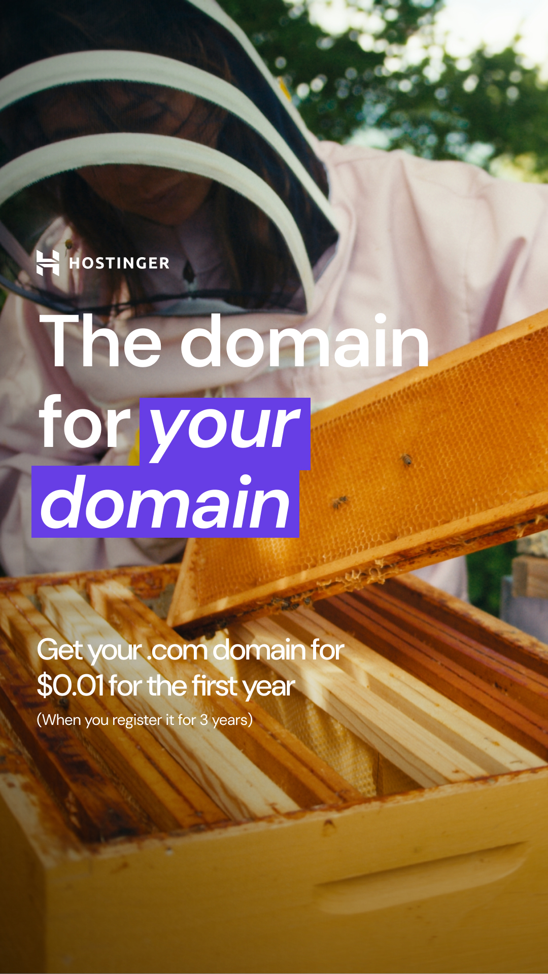 Hostinger Facebook ad: Domains from $0.99