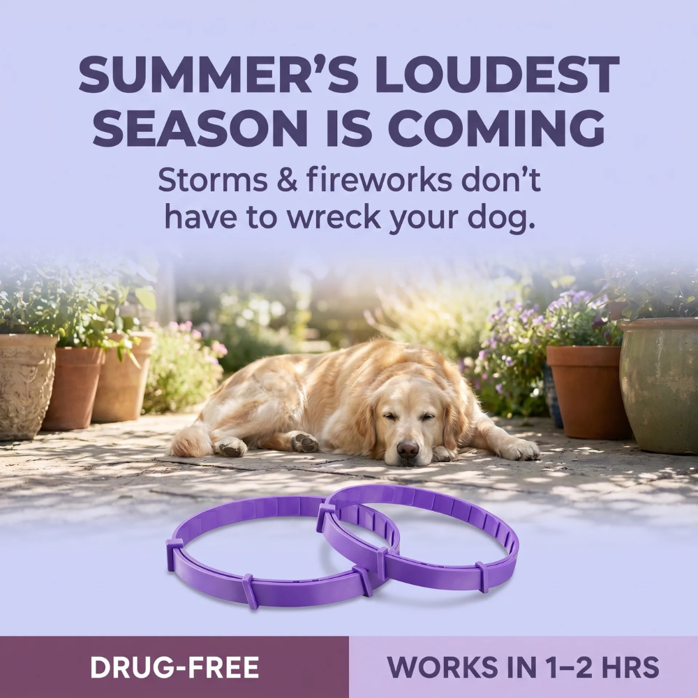 PawLax Facebook ad