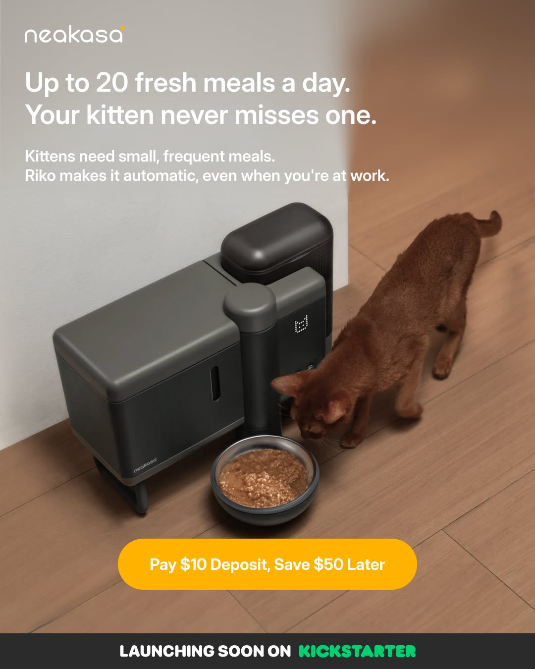 Neakasa Facebook ad