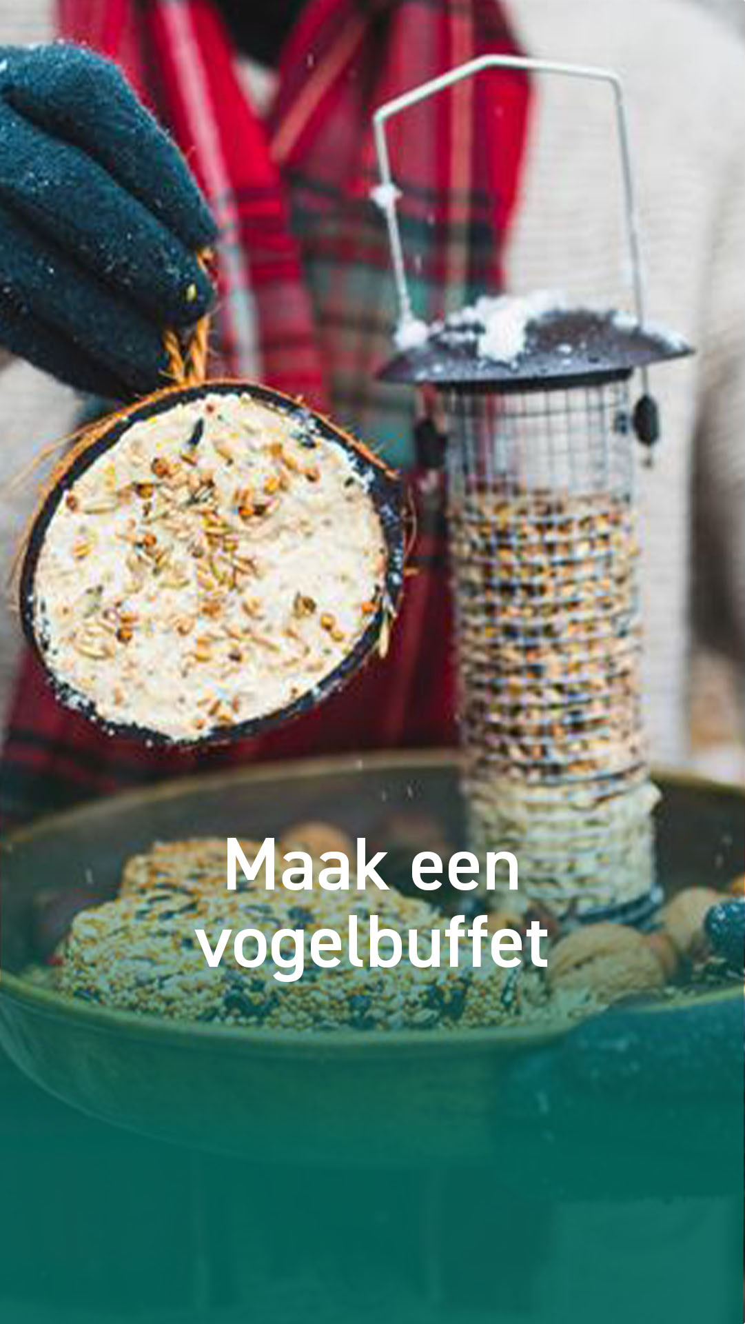Tom&Co België Facebook ad