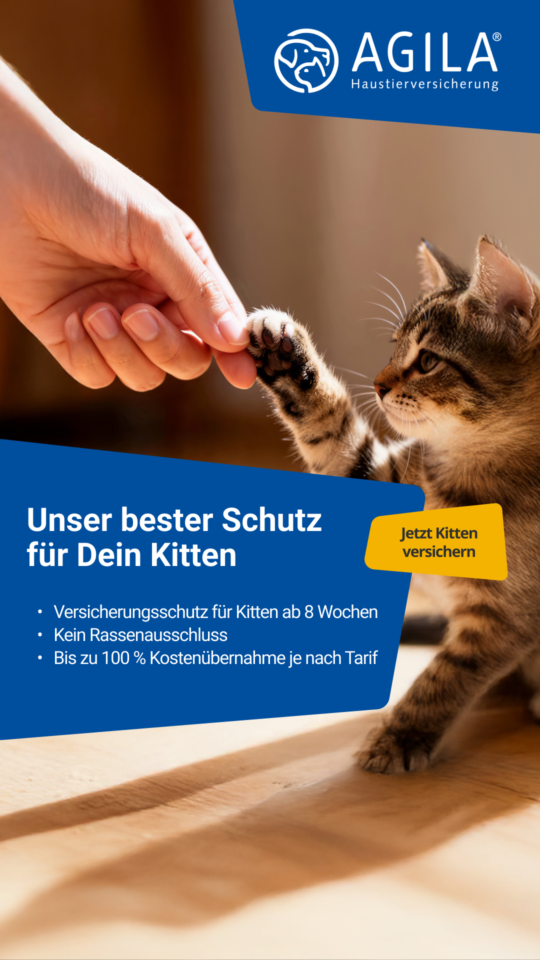 AGILA Haustierversicherung Facebook ad: Kittenversicherung