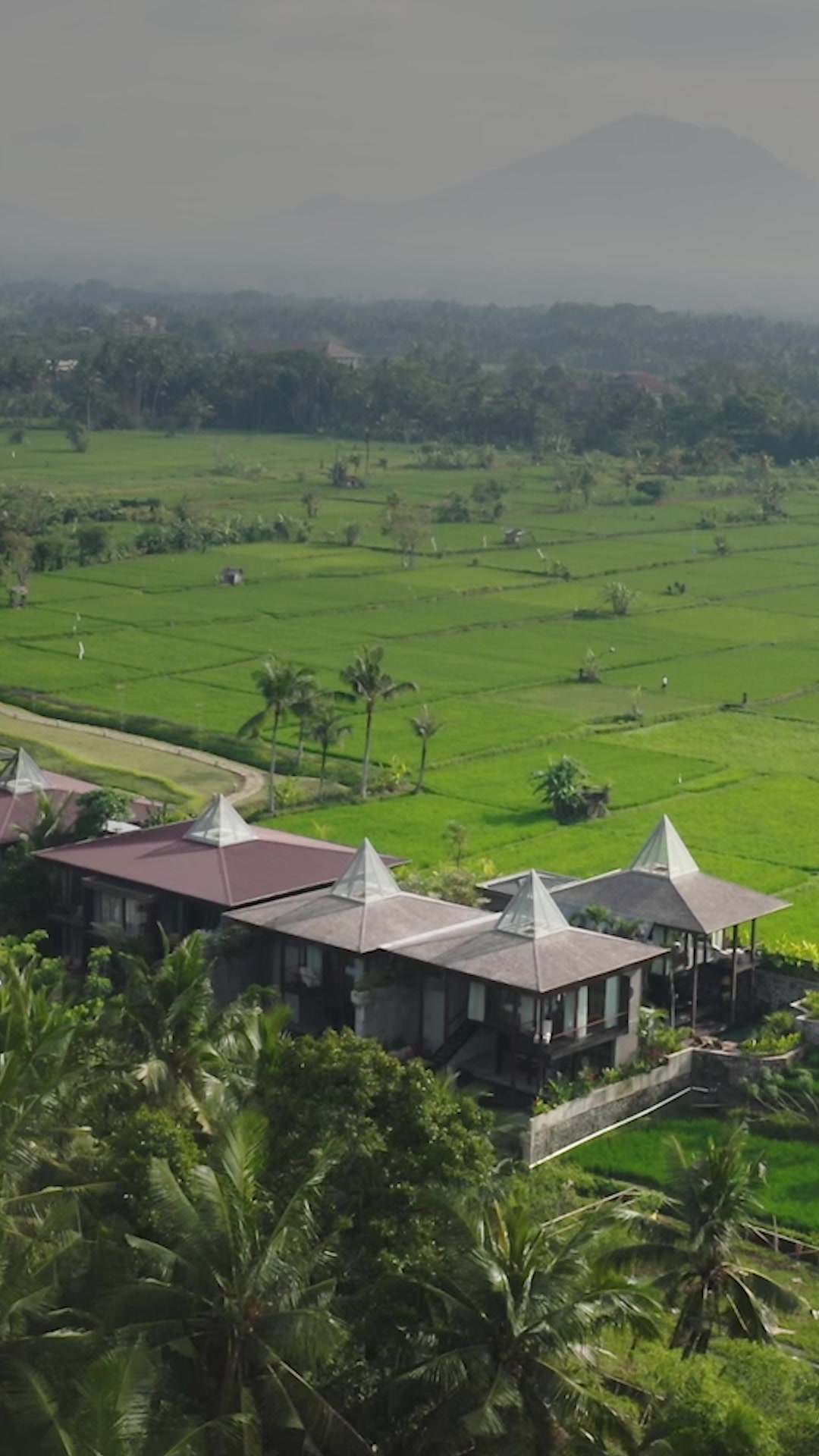 Gdas Bali Health and Wellness Resort Facebook ad: Wellness Designed for Modern High Performers