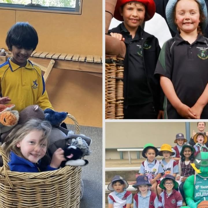 The Mercury Newspaper Facebook ad: Tasmania’s Top 30 Public Primary Schools: See the full…