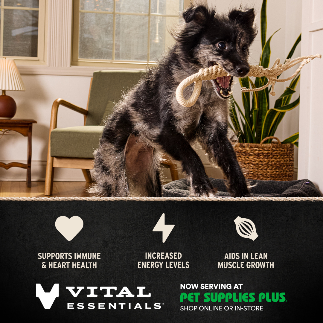 Vital Essentials Facebook ad: Real Raw Nutrition