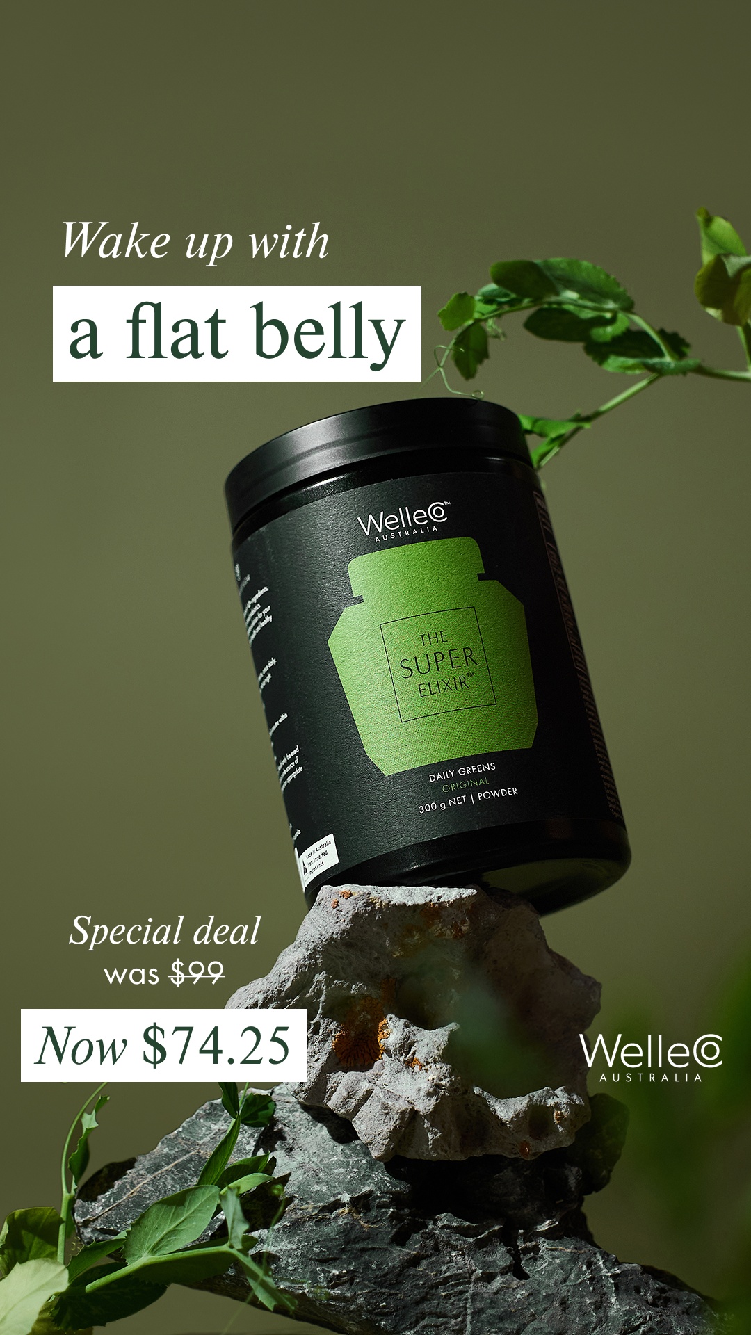 WelleCo Facebook ad