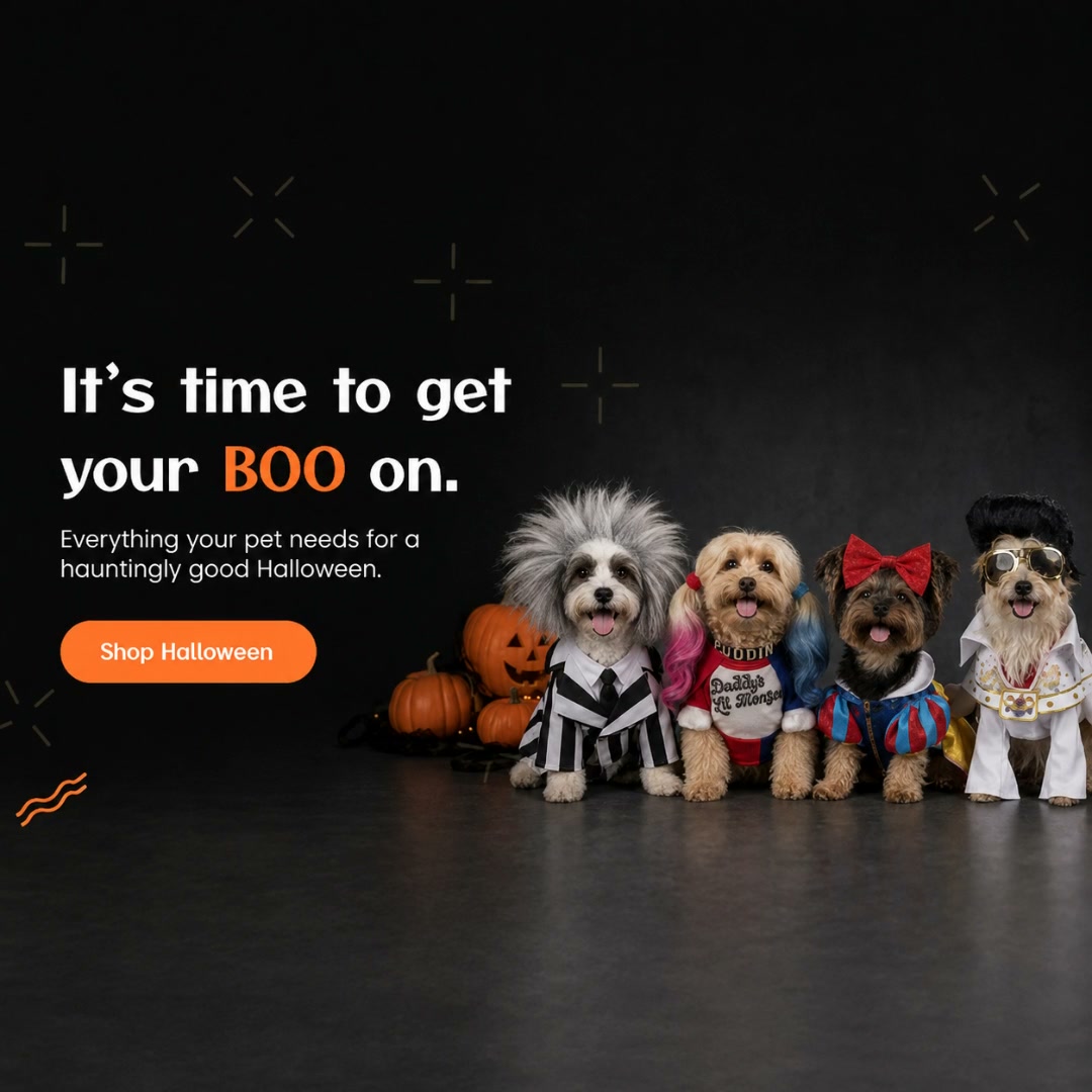 BaxterBoo.com Facebook ad: 25% Off Pet Costumes