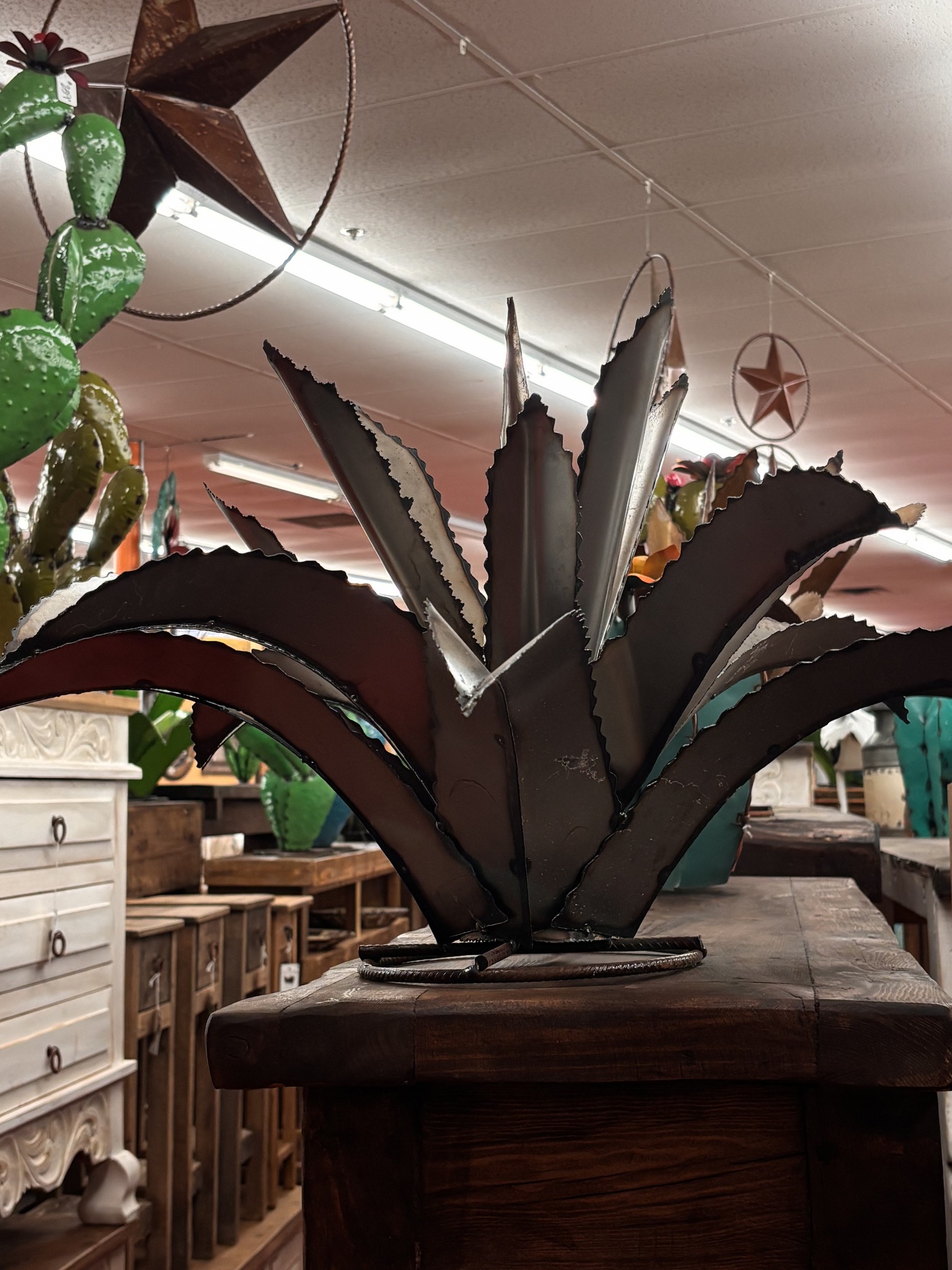 Casa Decor New Braunfels TX Facebook ad: Desert vibes in the heart of Texas!
