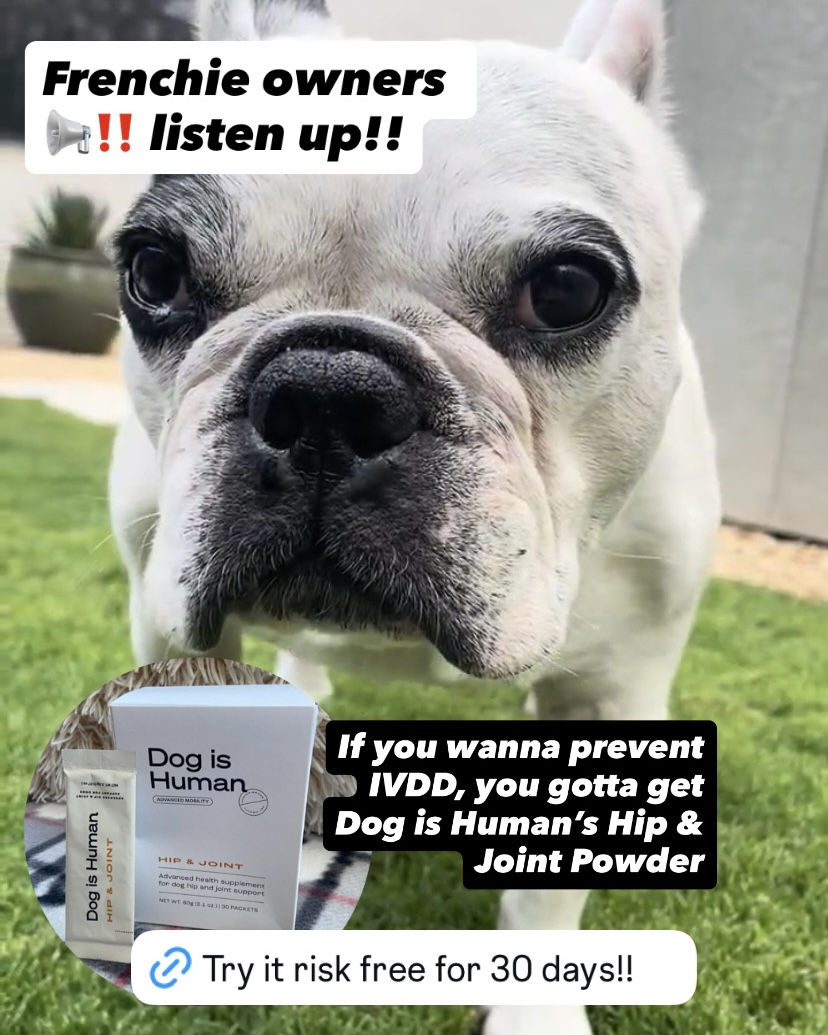Dog is Human Facebook ad