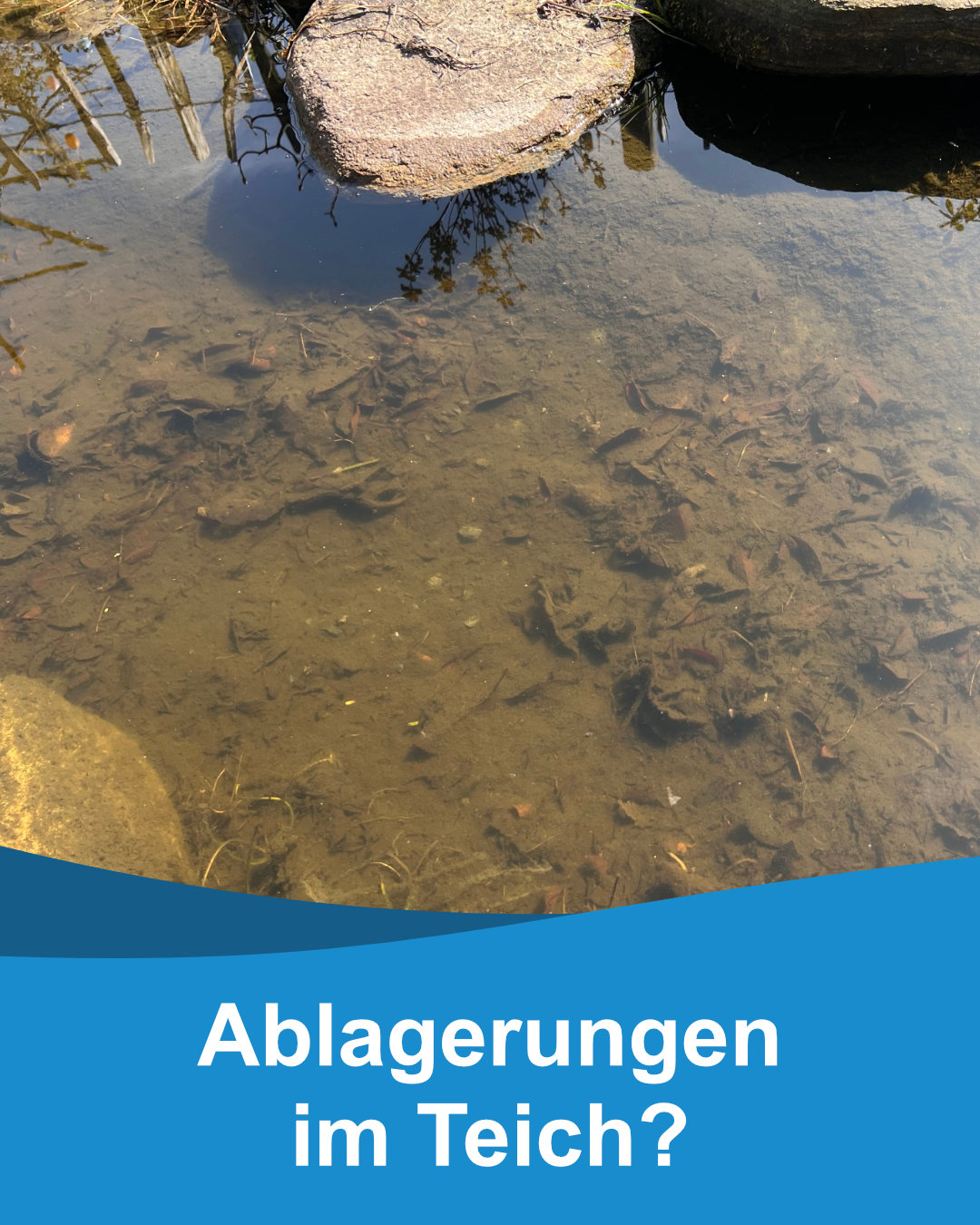 Koitec Facebook ad: Schlammschlachten gehören ab sofort der Vergangenheit an.