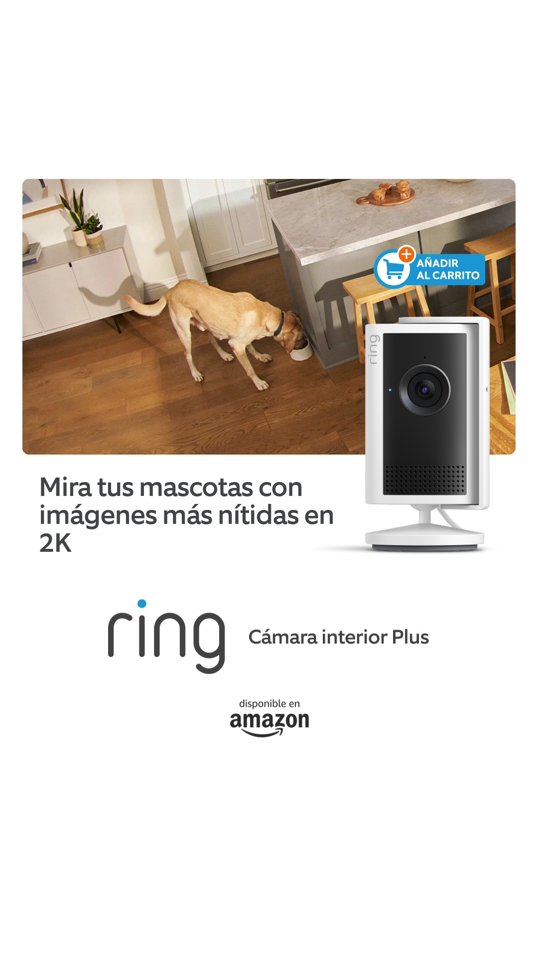 Ring Facebook ad