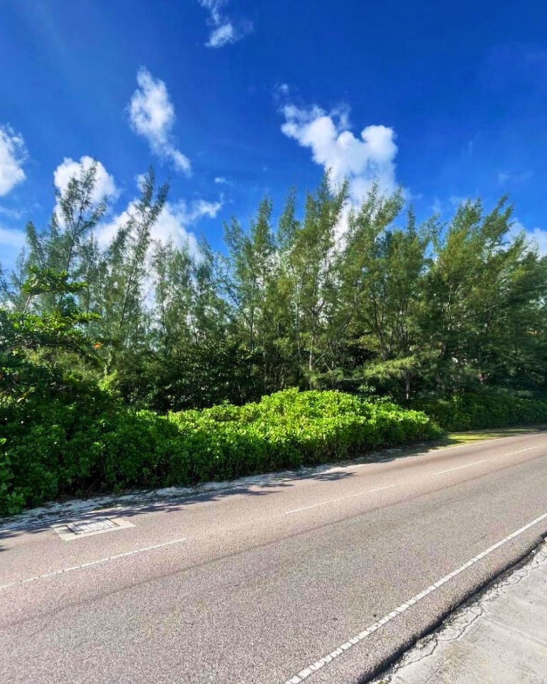 Island Living Real Estate Facebook ad: Blueprint for Growth | This 8.1-acre commercial parcel…