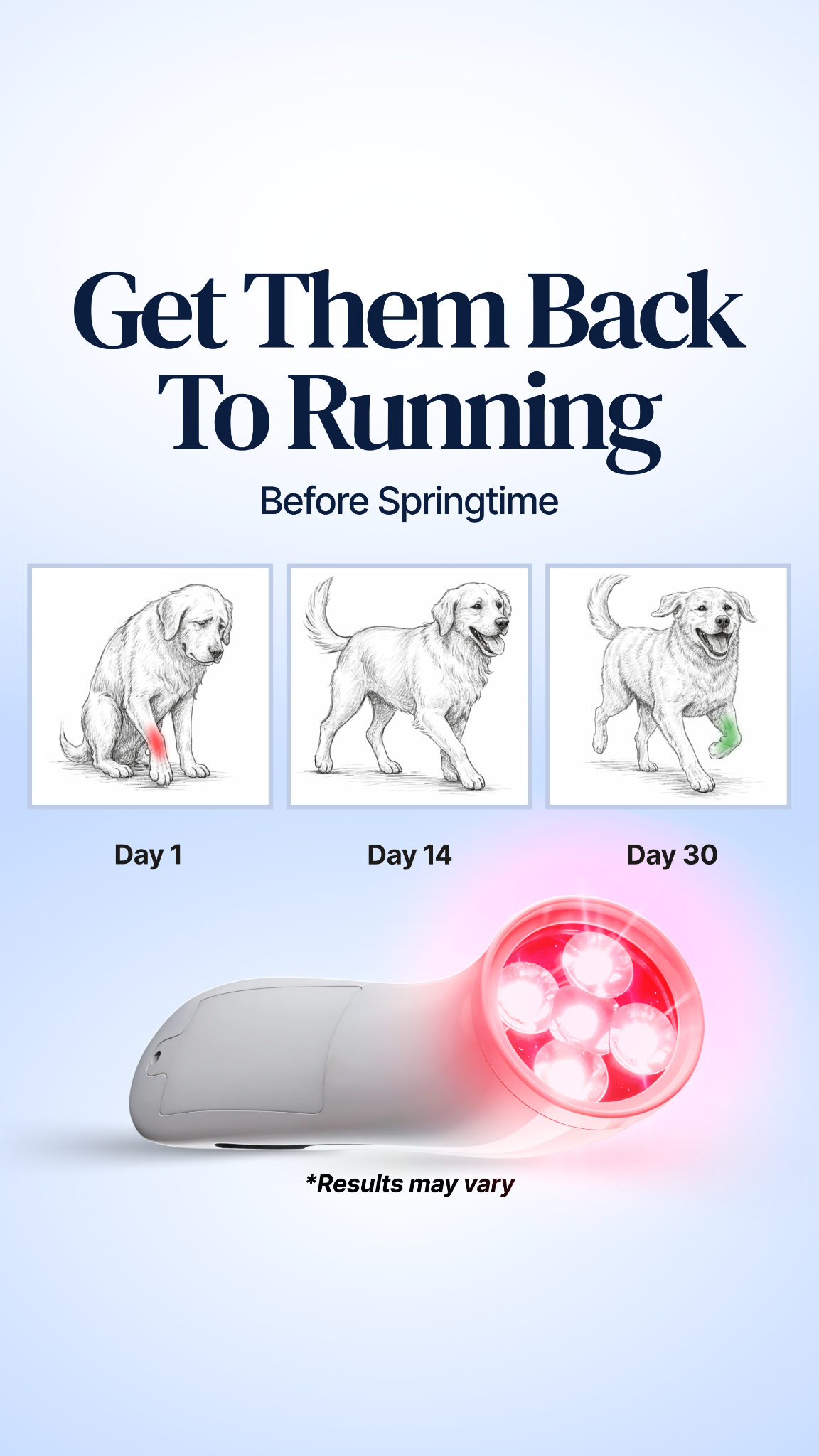 Helio Pet Facebook ad