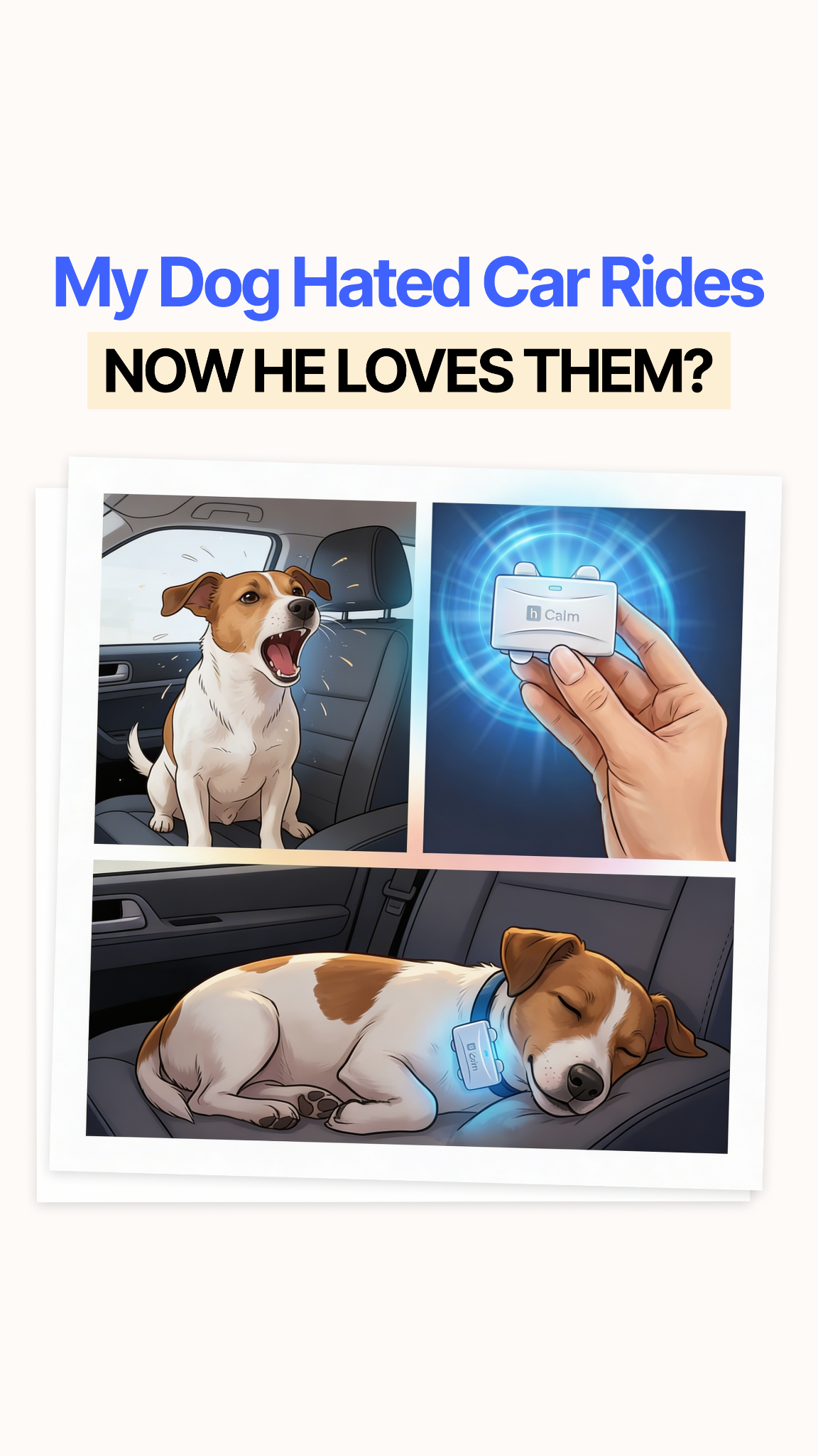 Helio Pet Facebook ad