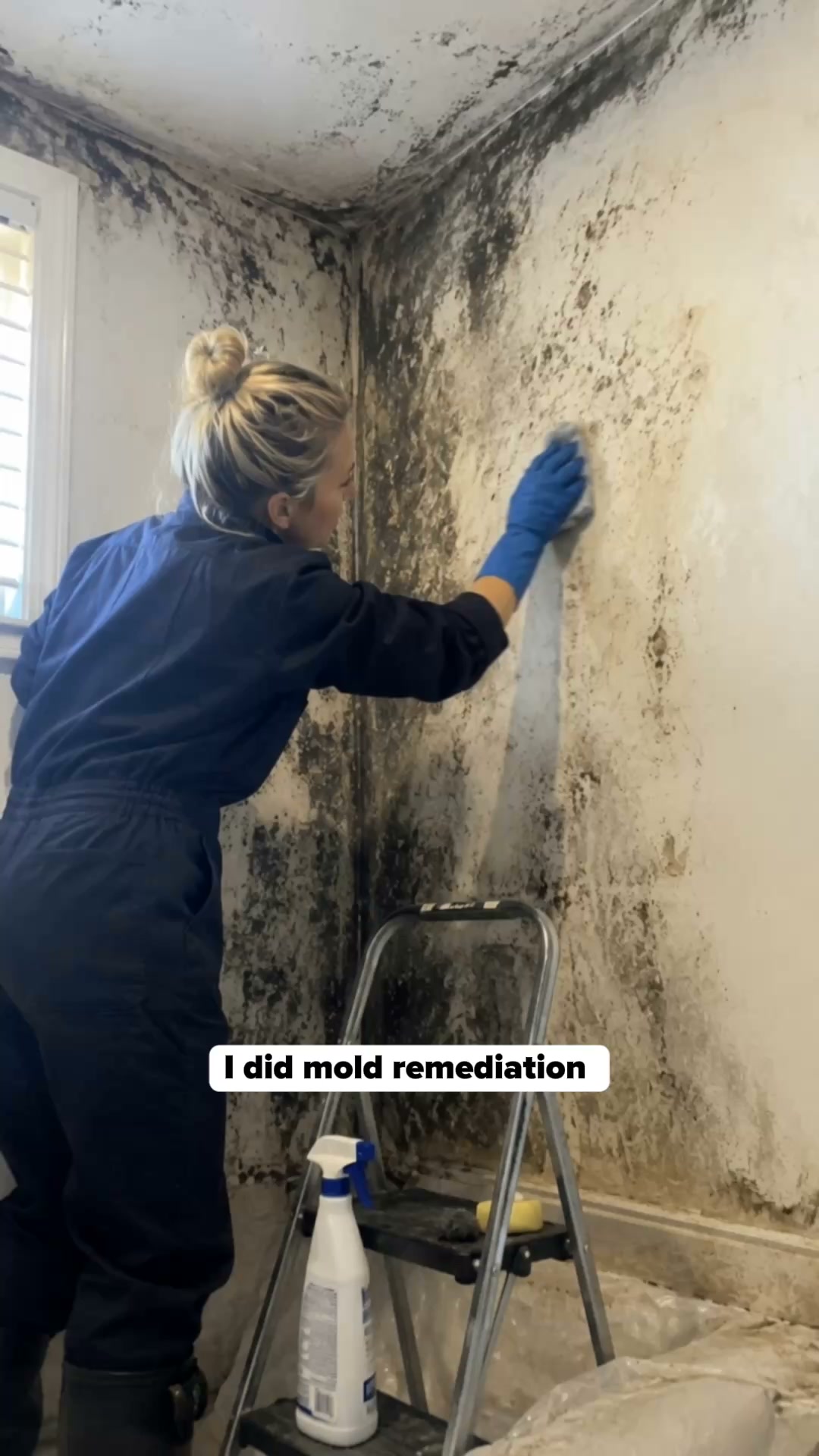 Uproot Clean Facebook ad: The mold stain always comes back. Until now.