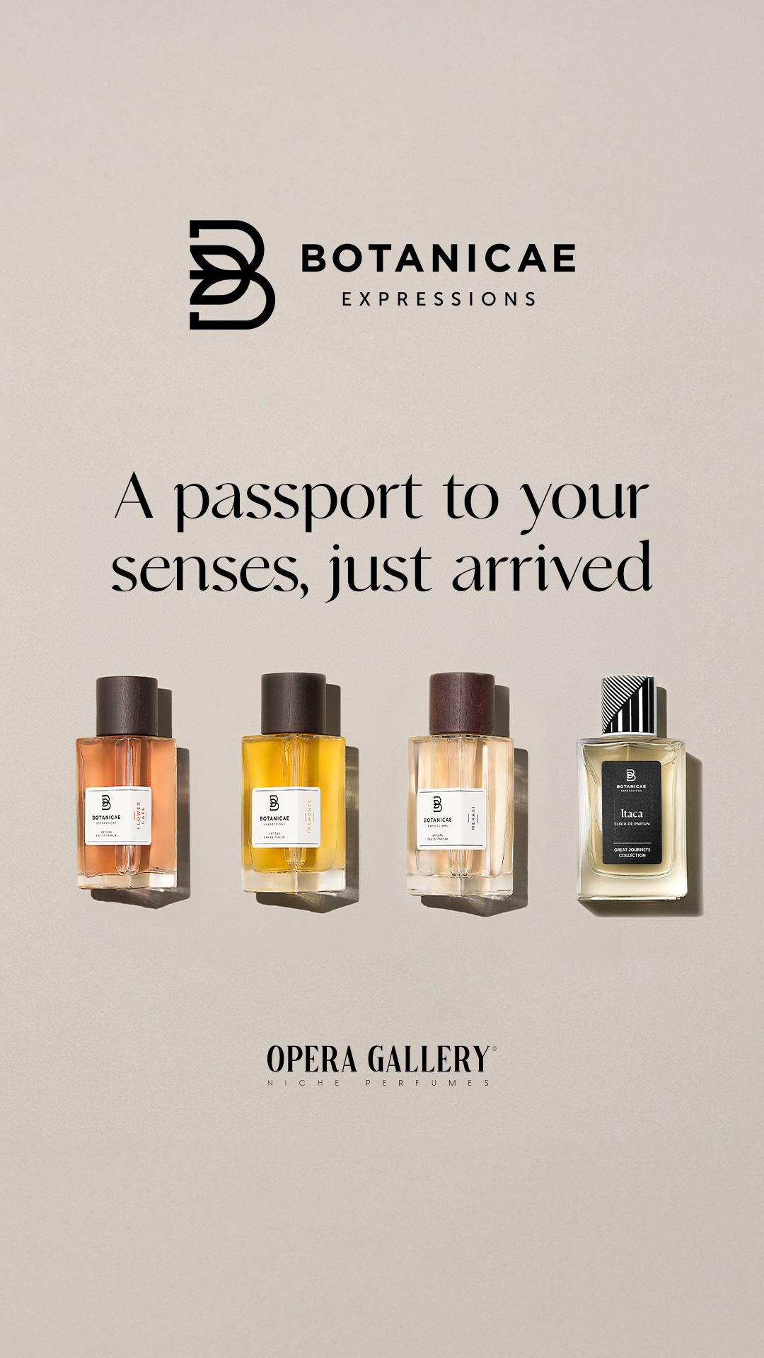 operagallerymx Facebook ad