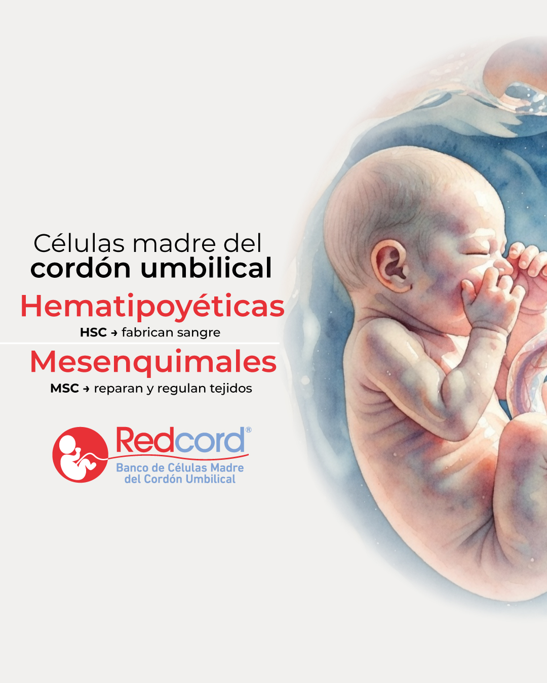 Redcord de Colombia Facebook ad