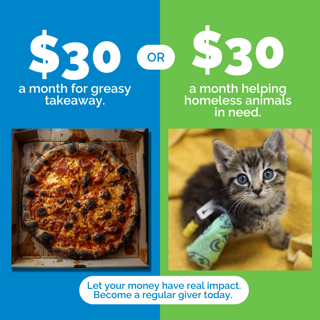 RSPCA South Australia Facebook ad