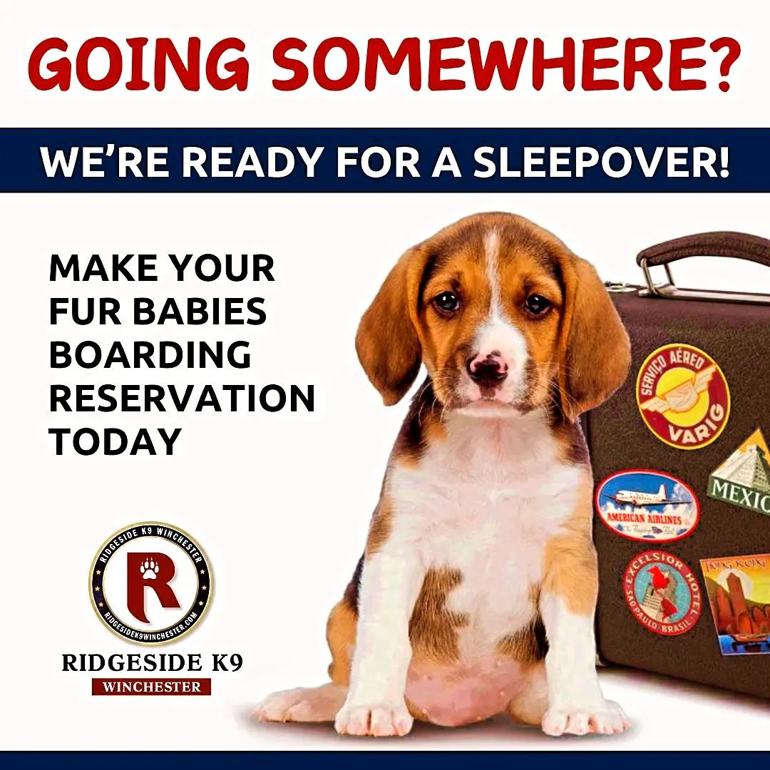 Ridgeside K9, LLC Facebook ad
