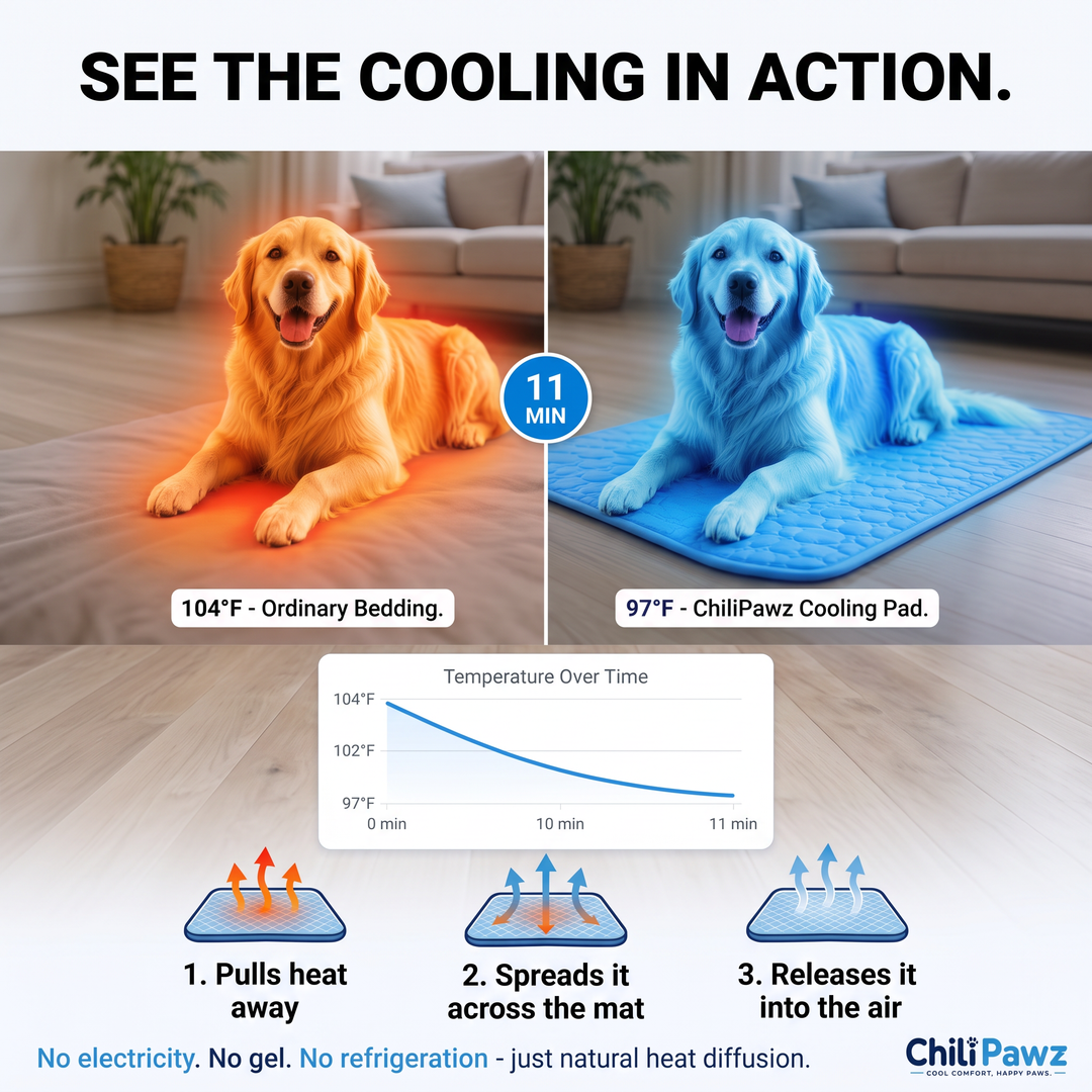 ChiliPawz Facebook ad