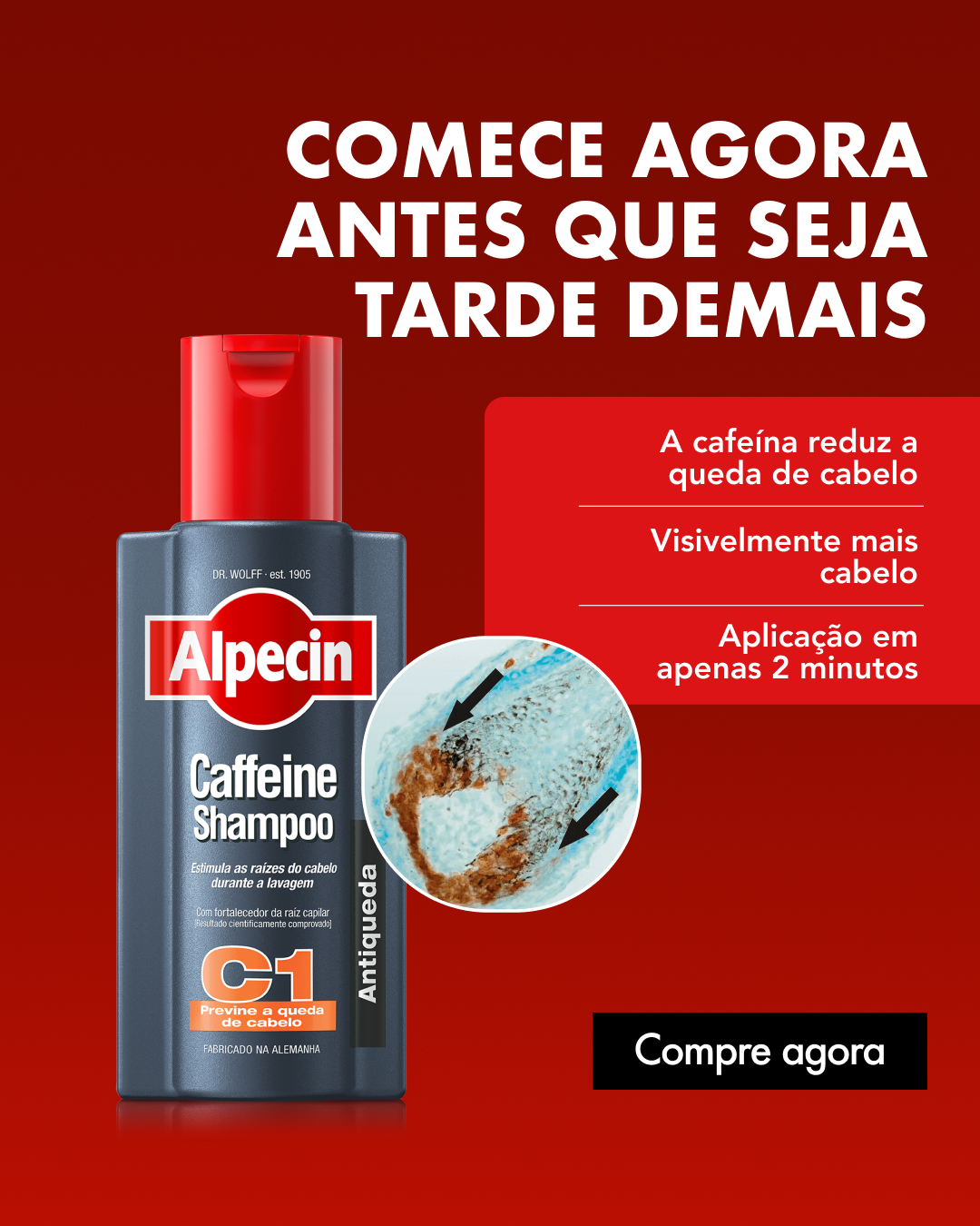 Alpecin Brasil Facebook ad