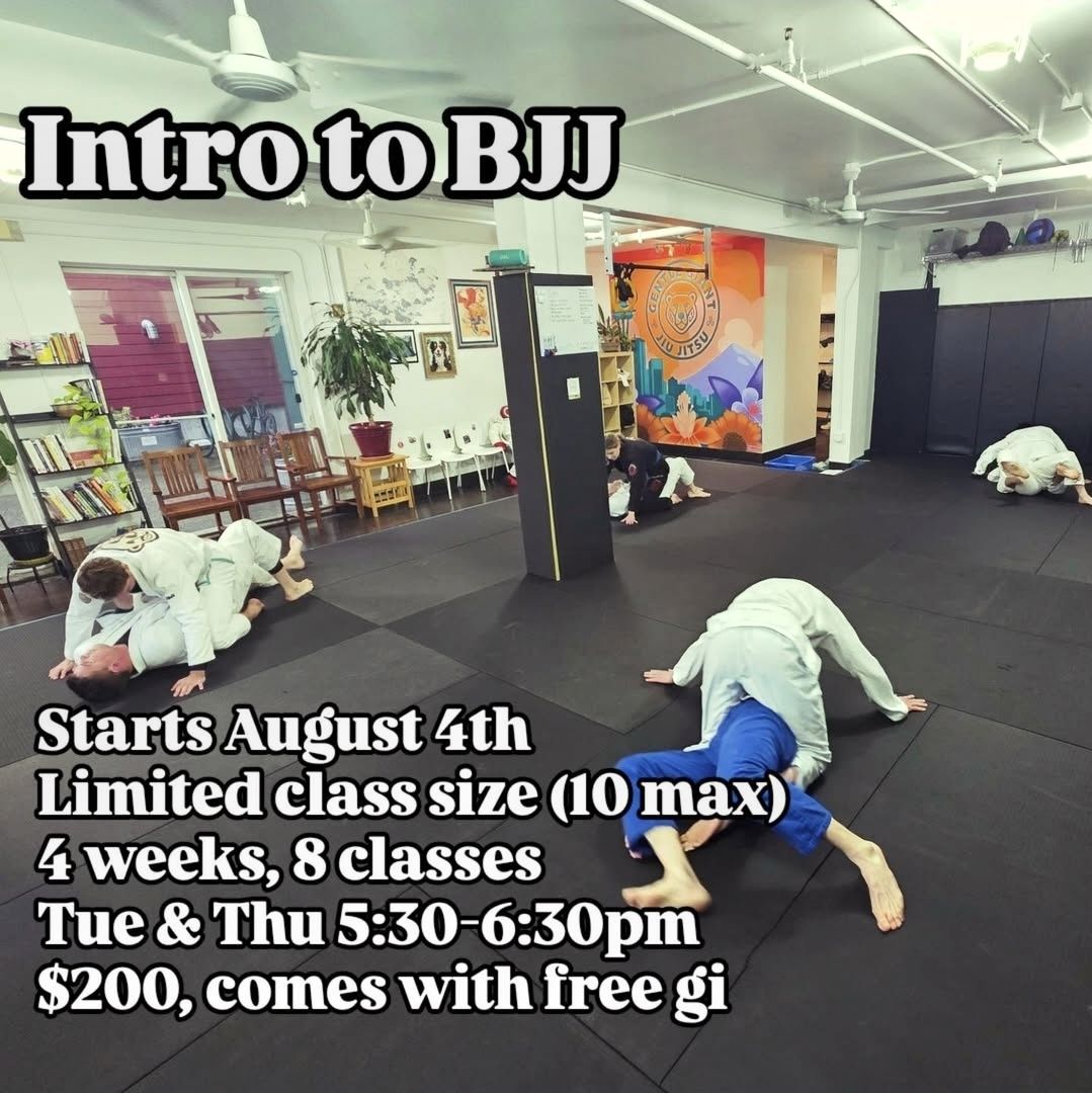 Gentle Giant Jiu Jitsu Facebook ad