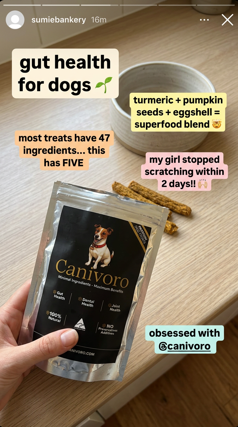 Canivoro.pet Facebook ad from Mar 20, 2026