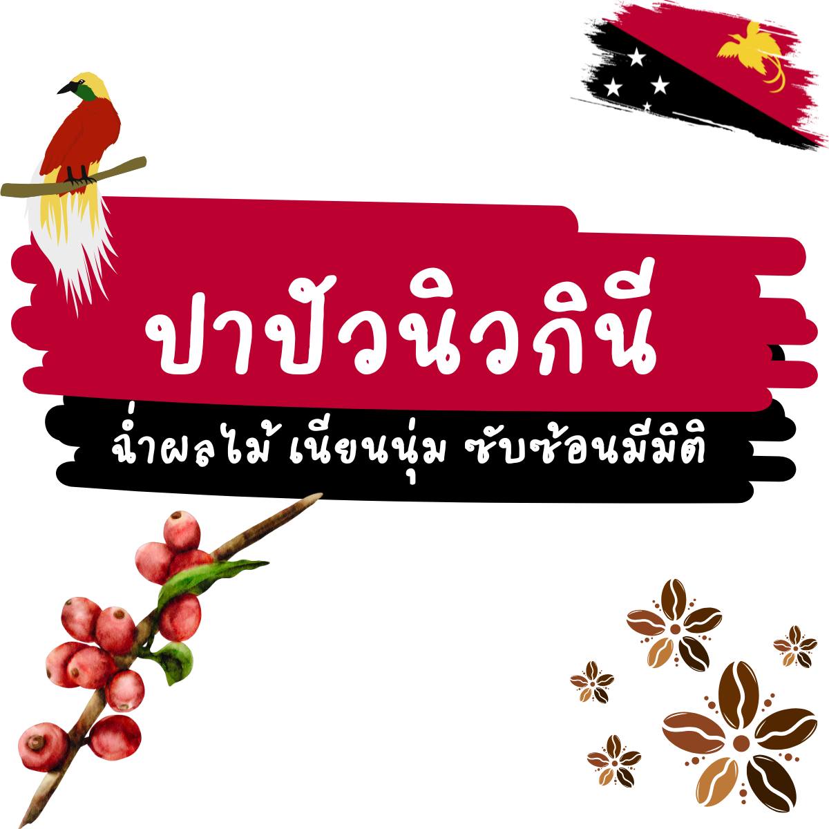 โรงคั่วเมล็ดกาแฟ Facebook ad: เจาะลึกมิติแห่งรสชาติ: Papua New Guinea (PNG)