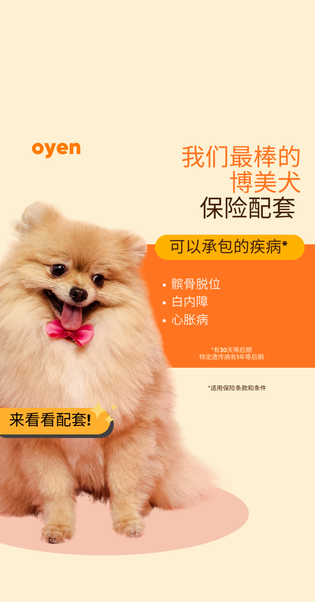 Oyen Pet Insurance & Takaful Kucing Facebook ad