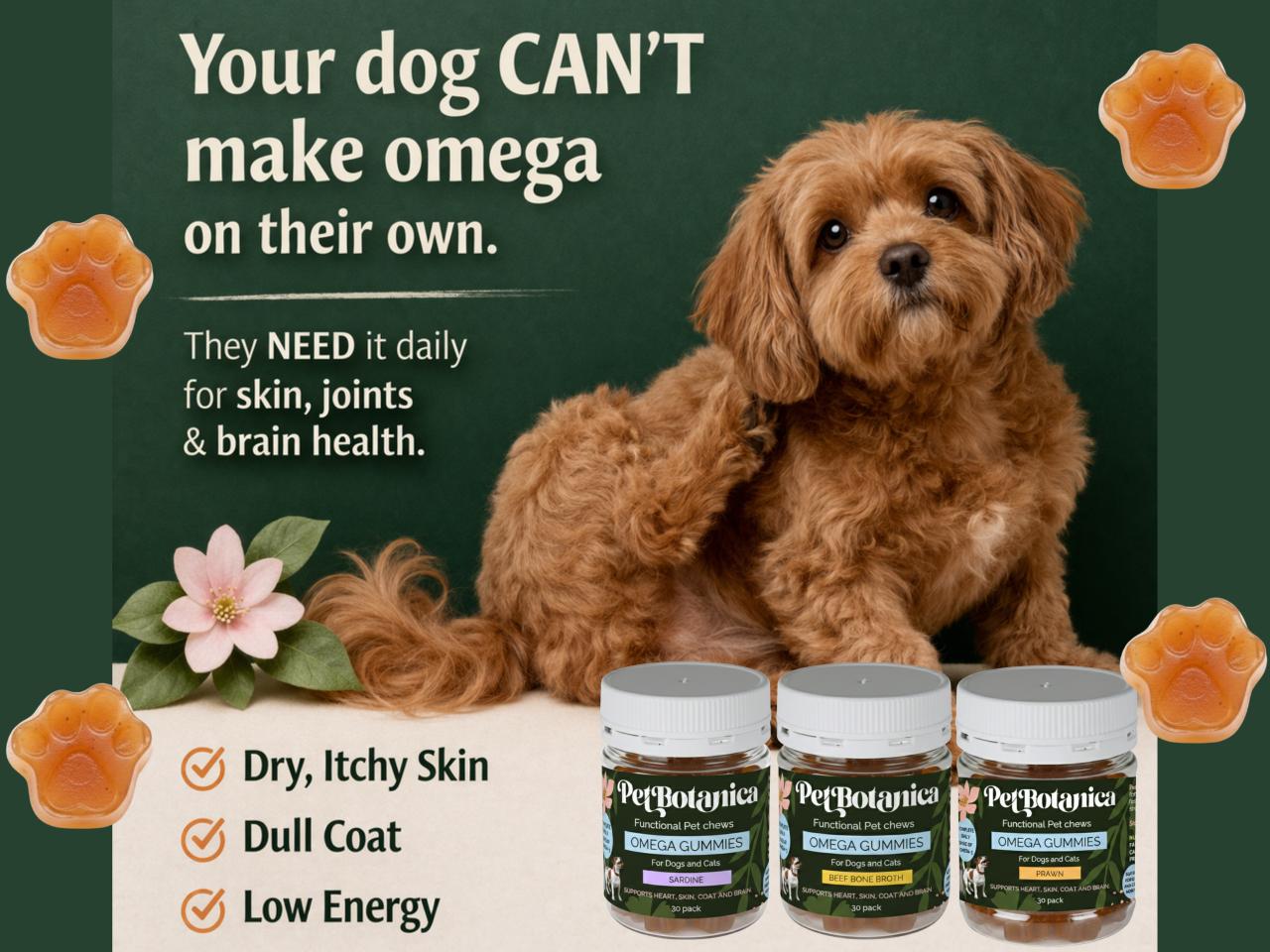 Pet Botanica - Natural Pet Products Australia Facebook ad