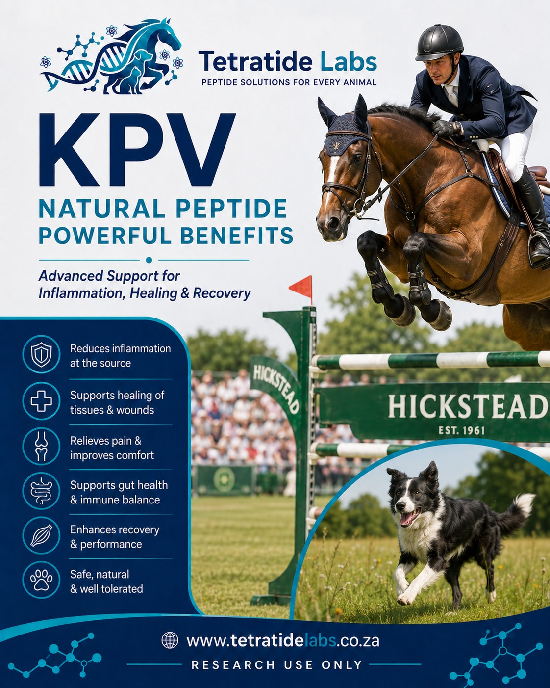 Tetratide Labs Facebook ad: KPV, A Small Peptide with Big Potential