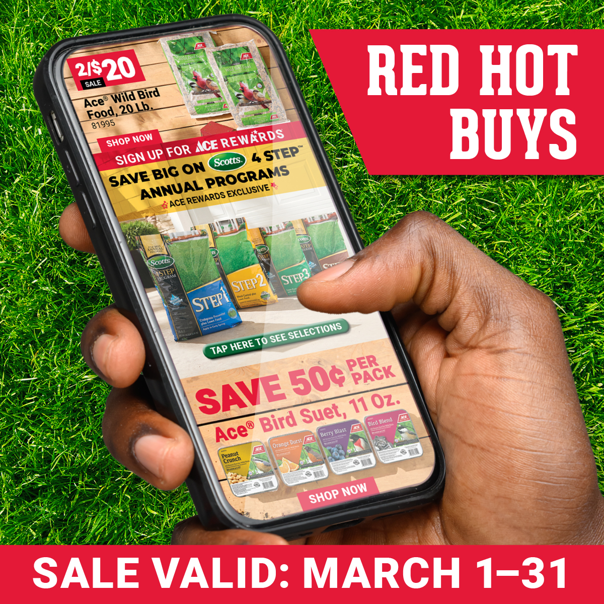 Great Lakes Ace Hardware Facebook ad