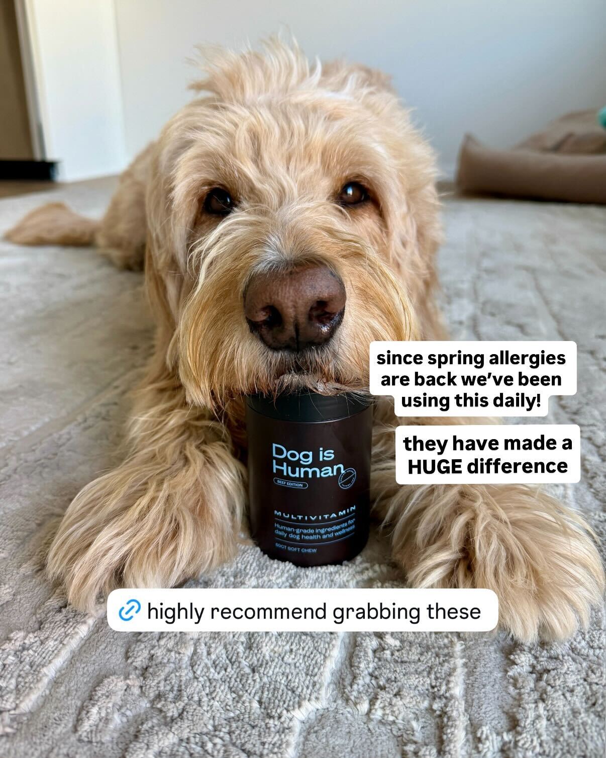 Dog is Human Facebook ad