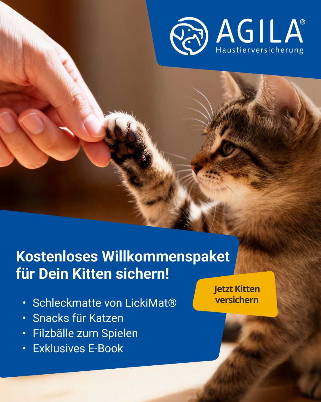AGILA Haustierversicherung Facebook ad: Willkommenspaket für Dein Kitten