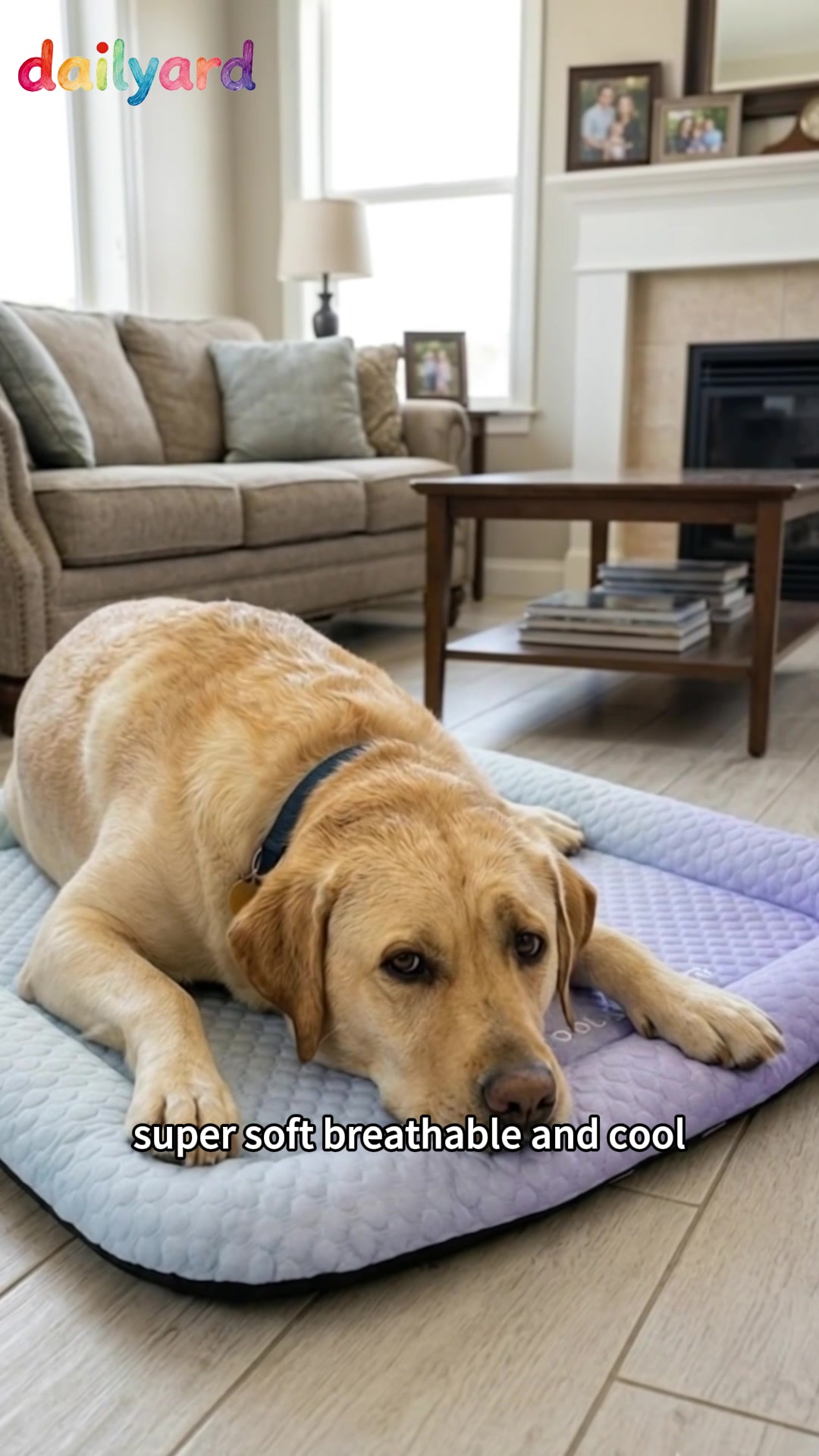 Dailyardmall.com Facebook ad: Pet Cooling Pad Mat for Dogs and Cats - Ice Silk Summer…