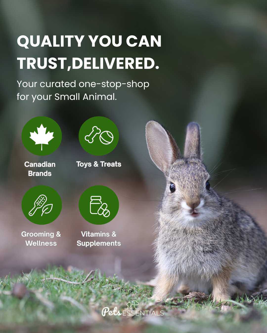 Pets Essentials Facebook ad