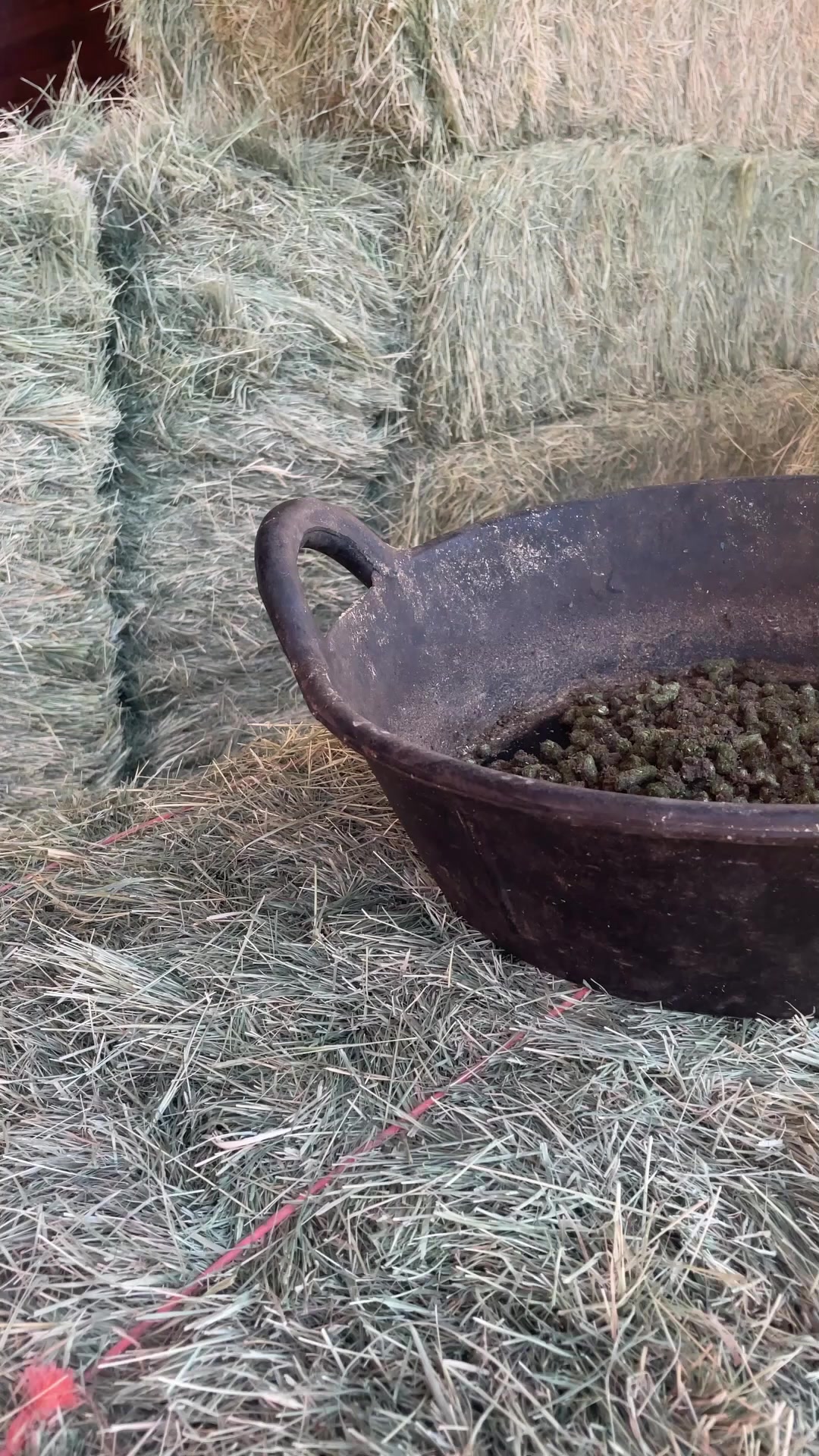 Equine Balanced Support Facebook ad: Natural Vitamin E for a Healthier Horse