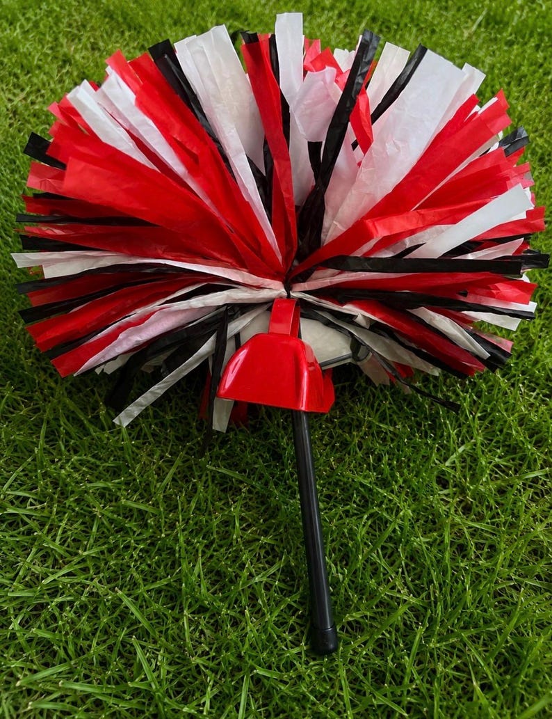 Glee Moment Facebook ad: Custom Pom Spirit Stick!