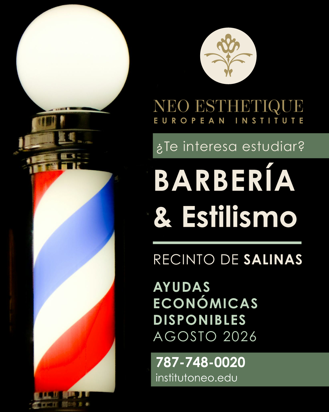 Neo Esthetique European Institute Facebook ad from Jun 7, 2026