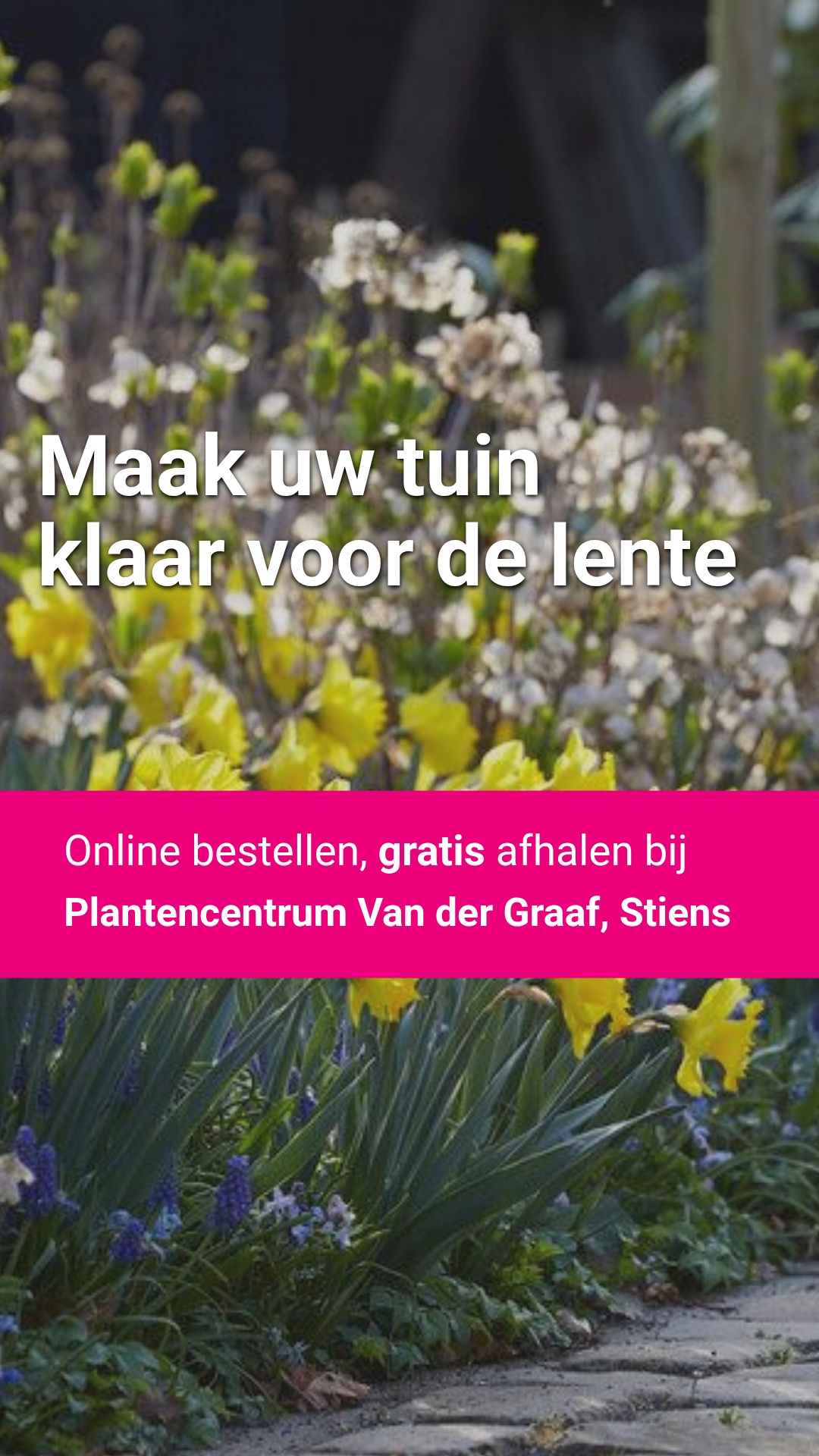 Directplant Facebook ad