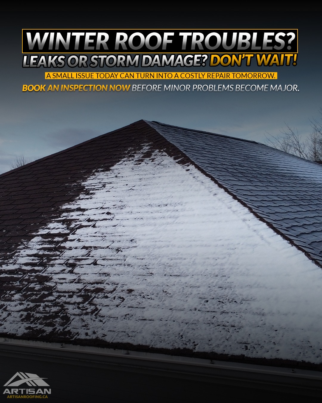 Artisan Roofing Inc Facebook ad: Winter roof troubles?