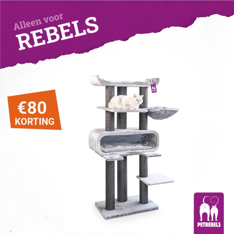 petrebels.com Facebook ad