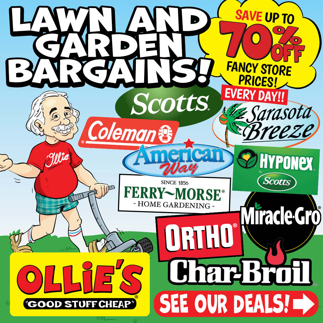 Ollie's Facebook ad